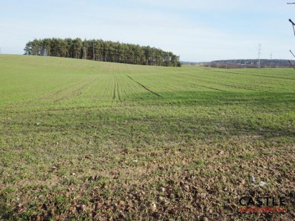 Działka budowlana Sieraków, Poznańska