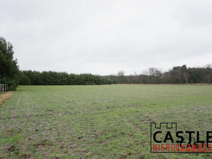 Działka rolna Stefanowice gm. Zbąszyń,