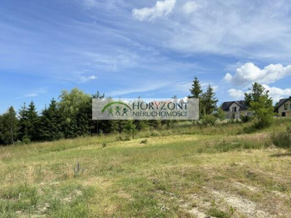 Czaple - dwie działki do wyboru