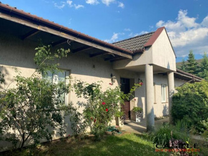 Dom Gniezno, Sosnowa