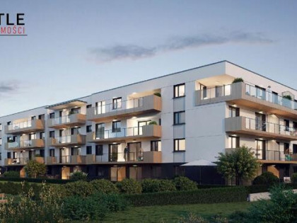 Mieszkanie Poznań gm. Poznań-Grunwald Junikowo, Ziębicka