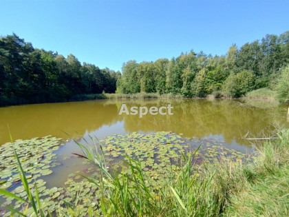 Działka Rybnik Rybnik