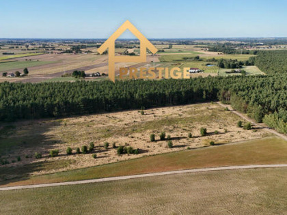 Działki pod budowę domu, Żółwieniec gm. Ślesin