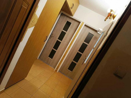 Wynajmę mieszkanie WINOGRADY