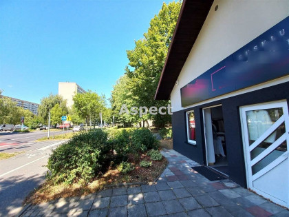 Lokal Żory os. Księcia Władysława