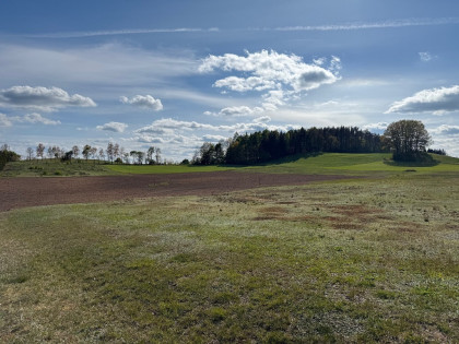 Oferta sprzedaży działki w Borzestowie