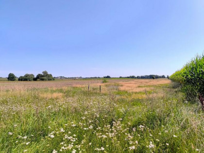 Działka budowlana Żytowice gm. Pabianice,