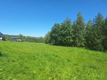 Dziaka budowlana w pobliżu lasu - polecamy!