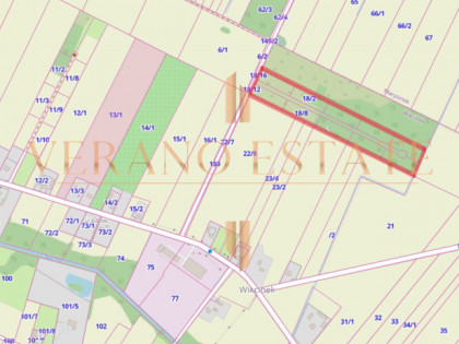 Działka rolna 3,5 ha | Dojazd asfaltowy