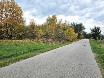 Działka Stanisławów Duży, gm. Kamionka