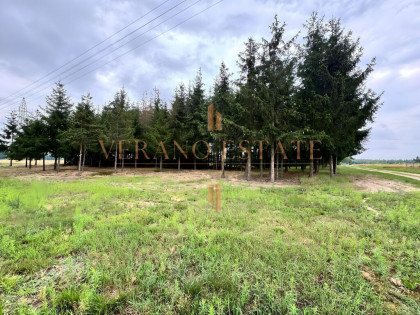 Malownicza działka w otoczeniu zieleni | MPZP