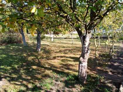 DZIAŁKA ROD w Śremie niedaleko jezioro - Sprzedam