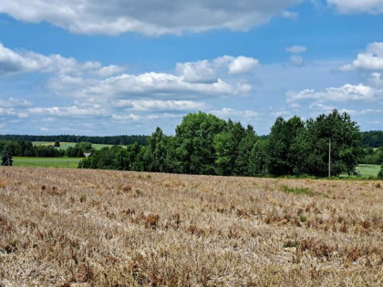 Działka budowlana Celiny gm. Iwanowice
