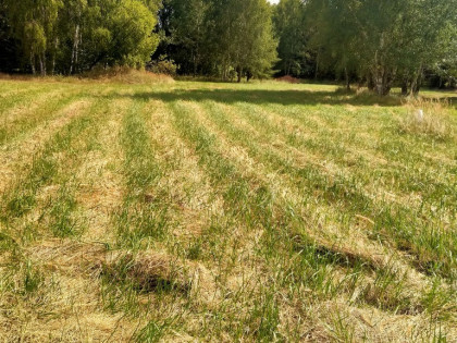 Działka 3179m2,obr.Grzepnica,gm.Dobra, las,media