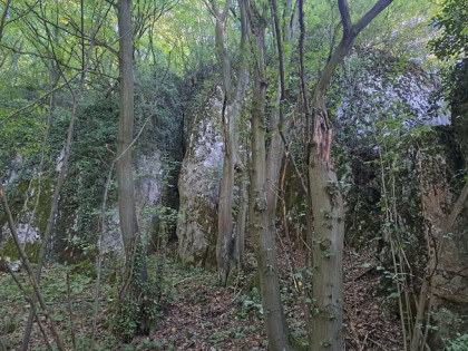 Działka budowlana Łazy gm. Jerzmanowice-Przeginia