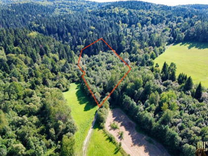 Duża działka w Bieszczadach - Hoczew, gm. Lesko