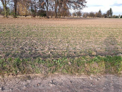 Działka budowlana Krasieniec Stary gm. Iwanowice