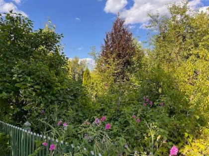 Działka ROD Zorza Ziemnice/Legnica