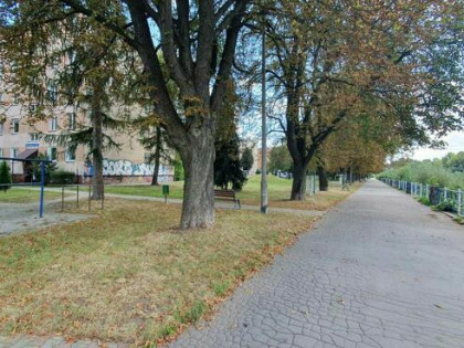Wynajmę przytulne mieszkanie 45m2 dwupokojowe w sercu Nowego