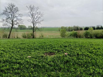 Wiśniowo Ełckie - działka 1400 m2 - z warunkami zabudowy