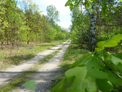Działka Długa Szlachecka ul. Dąbrowskiego
