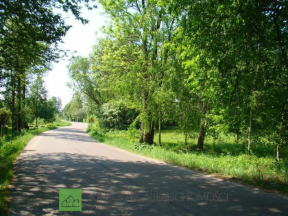 Działka Budziska ul. Krucza