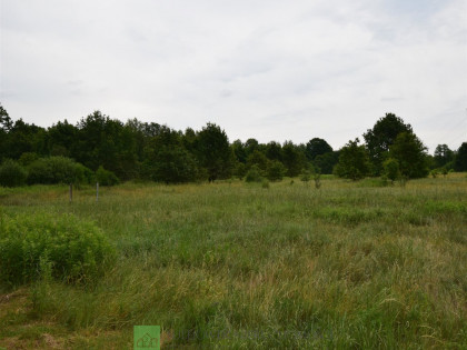 Działka Wielgolas Brzeziński