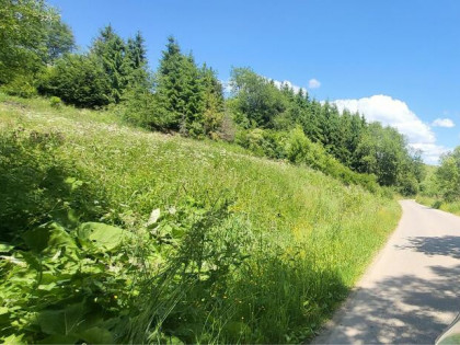 Łapsze Niżne dziłaka bud-rolna