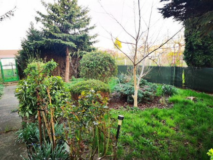 Piękna działka ROD 414 m2 na Wyspie Puckiej w Szczecinie.