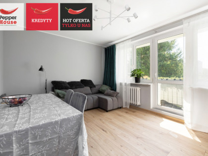 Mieszkanie Gdańsk Morena ul. Wileńska