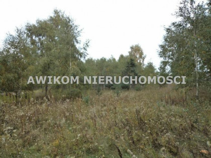 Działka budowlana Żabia Wola Jastrzębnik