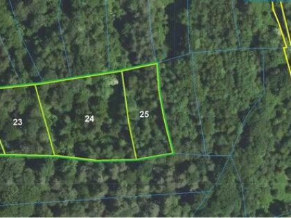 Cztery działki leśne łącznie 68 arów w Zagórze, gm. Jodłowa