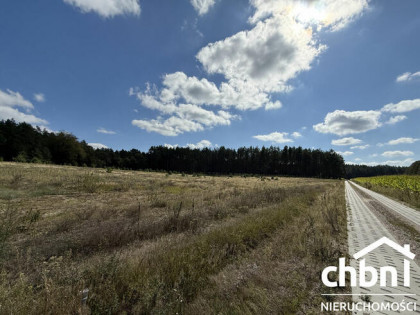 Okazja! Duża działka 3178 m² – Kaszuby, Zielona Chocina