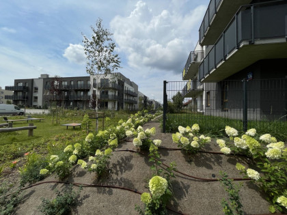 Mieszkanie Warszawa Białołęka, Kobiałka rynek pierwotny ul. Marii Callas