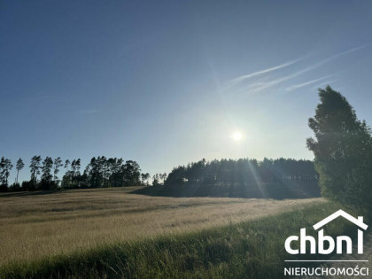 Między lasem a rzeką Brdą – Twoje miejsce w Borach Tucholski