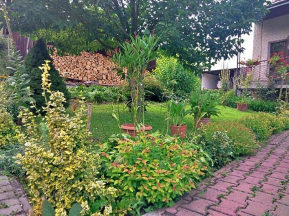 Dom rodzinny lub agroturystyka – dom w Tyrawie Wołoskiej