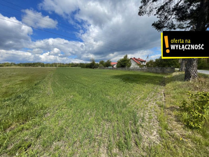 Działka Maciejowice ul.  