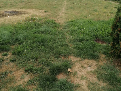 Sprzedam działkę budowlaną Bełżyce