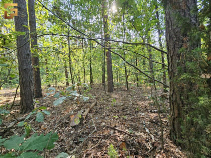 Działka budowlana Warszawa gm. Wawer Wawer, Ezopa