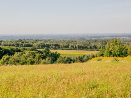 Działka widokowa w miejscowości Łysa Góra!