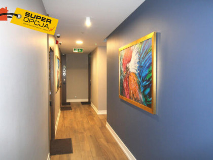 Lokal użytkowy Kraków gm. Kraków-Śródmieście Stare Miasto,