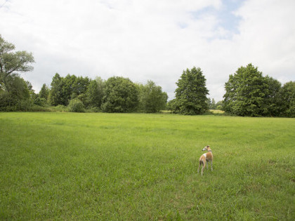 Unikatowe miejsce! Warunki zabudowy