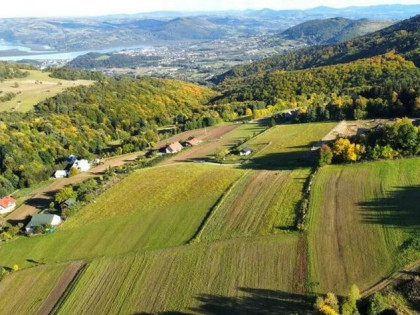 Działka, agroturystyka, siedlisko -Skrzętla-Rojowka -1,14ha