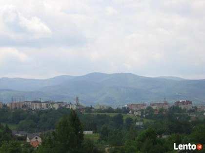 Wynajmę (lub sprzedam) dom w Bielsku-Białej