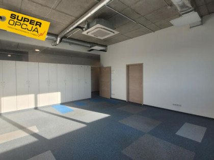 Lokal użytkowy Kraków gm. Kraków-Podgórze Rybitwy,