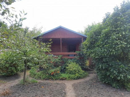 Działka rekreacyjna ROD Związkowiec Tarnobrzeg