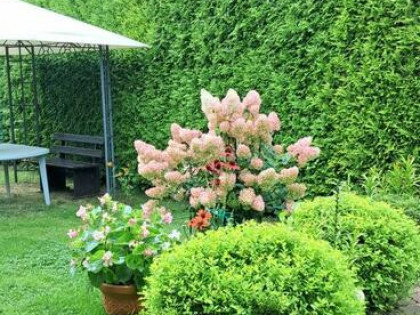 Działka rekreacyjna