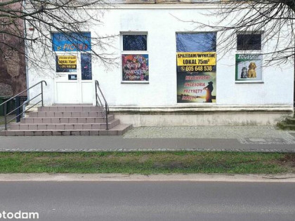 Sprzedam lokal 74,28m2 , Witnica