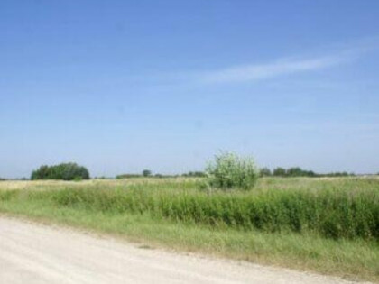 Działka łąka od 1,3 do 5 ha blisko trasy Wyszków Łochów