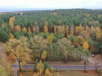 Działka Rydzewo ul. Mazurska